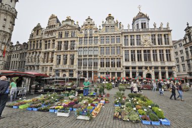 Çiçek pazarı, Grand Place, Brussels, Belçika