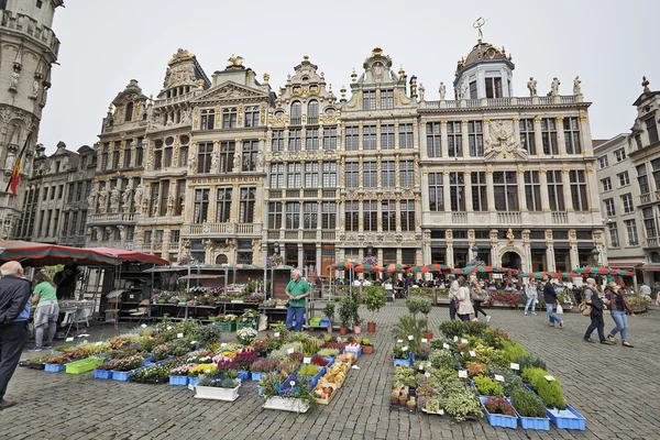 Kwiaty na rynku w Grand Place w Brukseli, Belgia — Zdjęcie stockowe