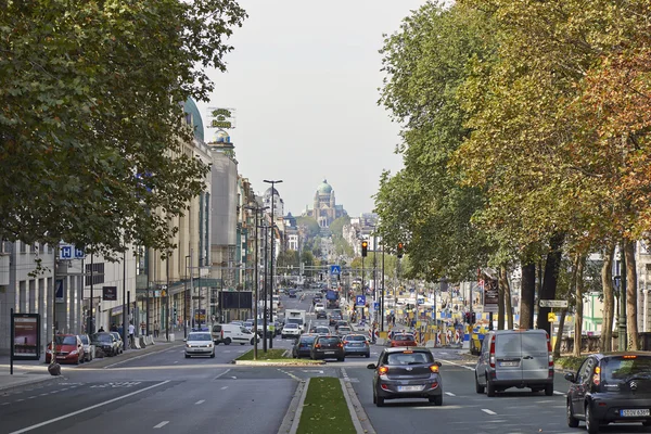 Der boulevard du jardin botanique — Stockfoto