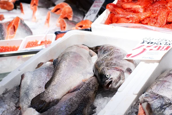 Fresh fish — Stock Photo, Image