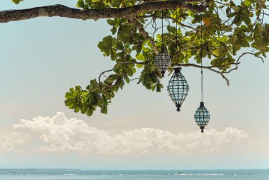 Fener ağacında ile deniz manzarası