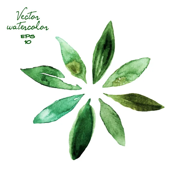 Verde acuarela hojas — Vector de stock