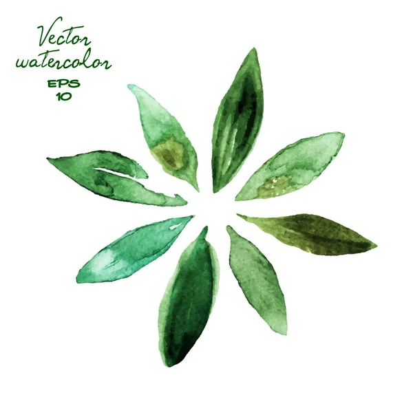 Folhas de aquarela verde — Vetor de Stock