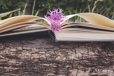 Açık kitap, boş sayfaları