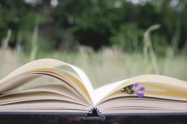Açık kitap, boş sayfaları