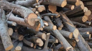 Odun yığını şömine kullanımı için hazırlandı.
