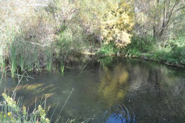 Arminou Barajı ve Sessiz Yeşil Nehir Eğrisi Yoğun Bitkilerle çevrili