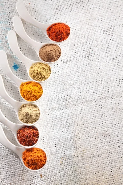 Dry spices in spoons — Stock Photo, Image