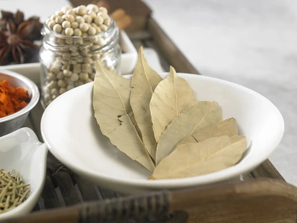 Feuilles de laurier séchées — Photo