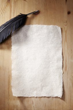 Quill'in kalem eski kağıt üzerinde