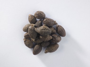 Bütün malva fındık