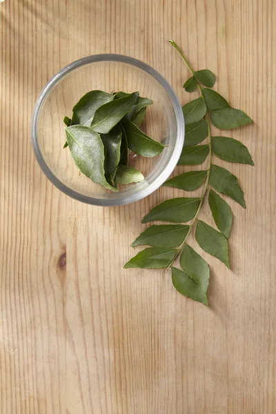 Rohe Curryblätter — Stockfoto