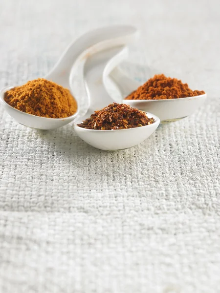 Polvere di curry lucente — Foto Stock