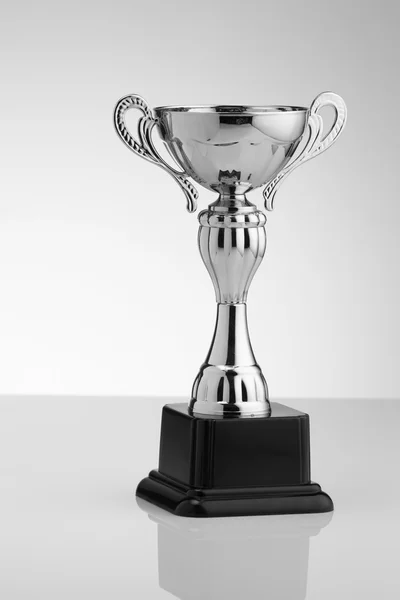 Vinnare silver trophy — Stockfoto