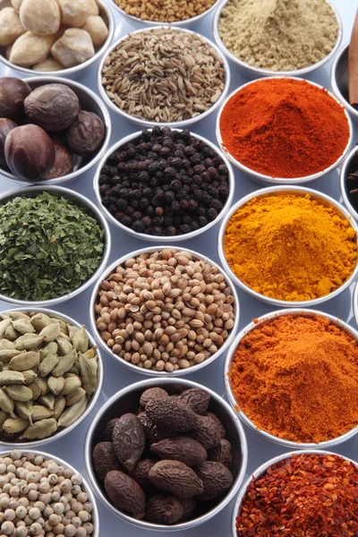 Assorted dry spices — Stock Photo, Image