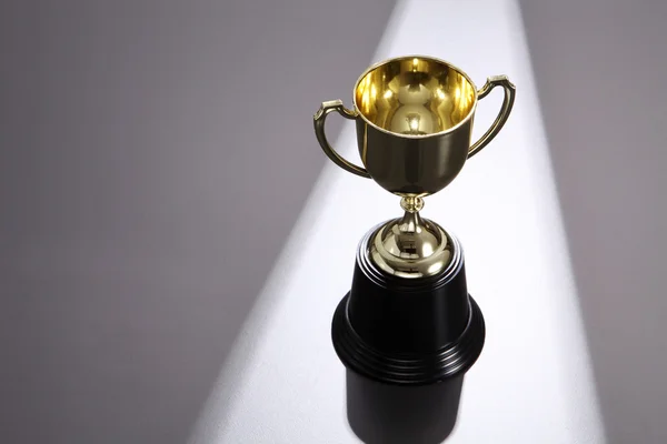 Golden trophy cup — Stock Photo, Image