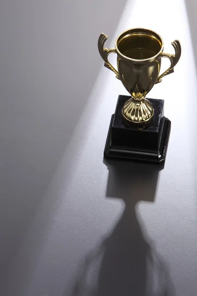 Copo de troféu dourado — Fotografia de Stock