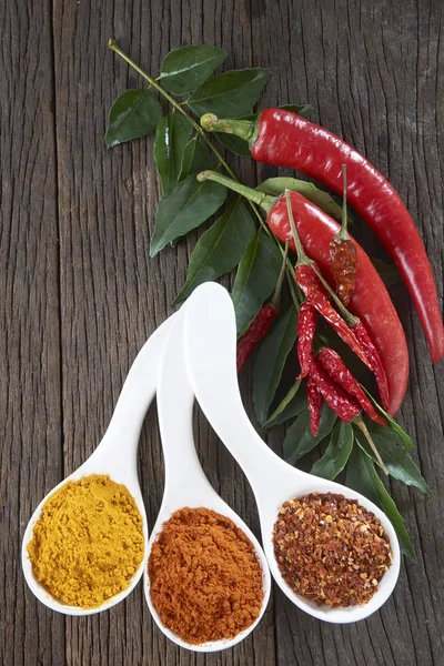 Ingrediente picante în linguri — Fotografie, imagine de stoc