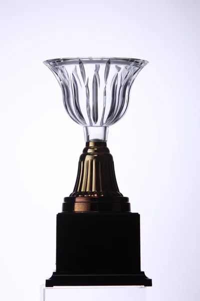 Winner crystal trophy — Stock Photo, Image