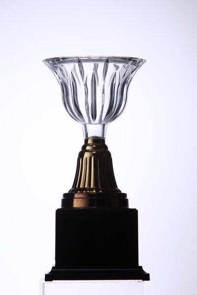 Winner crystal trophy 