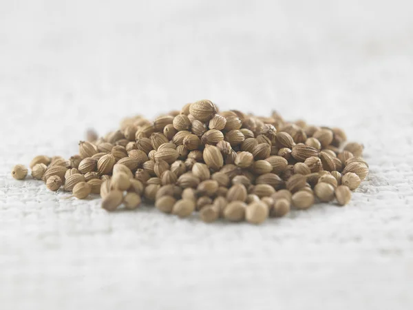 Whole coriander seeds — Stock Photo, Image