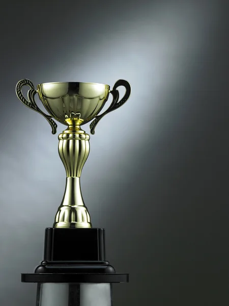 Arany trófea kupa — Stock Fotó