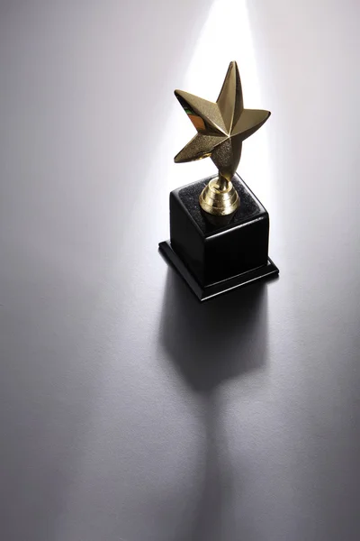 Tvar hvězdy trophy — Stock fotografie
