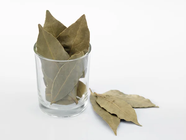 Suszone liście laurowe — Zdjęcie stockowe