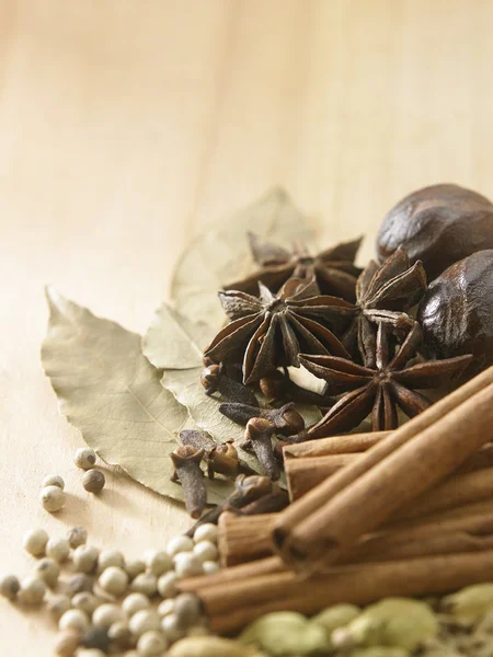 Aromatiska torra kryddor — Stockfoto