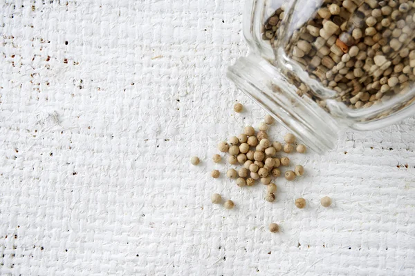 Whole white peppercorns — Stock Photo, Image