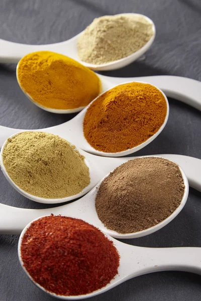 Assorted spices in spoons Stock Image
