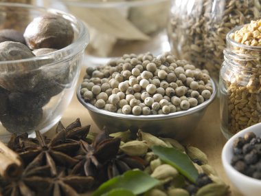 aromatik kuru baharat