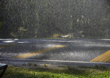Asfalt yolda yağmur