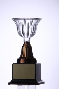 Kazanan crystal trophy 