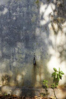 terk edilmiş eski duvar