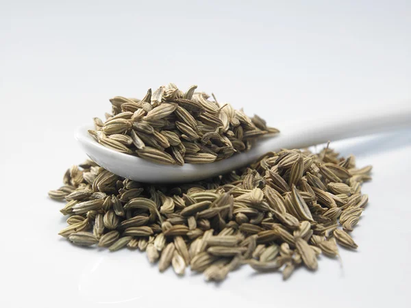 Dried cumin seeds — Stock Photo, Image