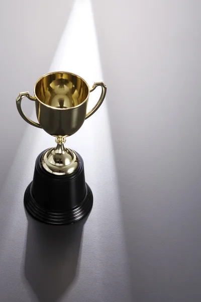 Golden trophy cup — Stock Photo, Image