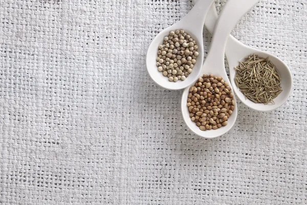 Dry spices in spoons — Stock Photo, Image