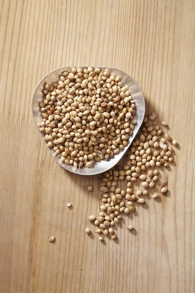 Whole coriander seeds — Stock Photo, Image