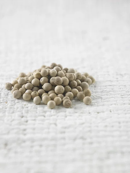 Whole white peppercorns — Stock Photo, Image