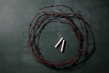 Eğitim kavramı sorunları