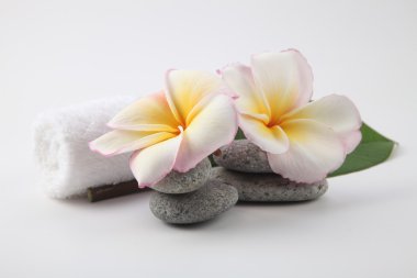 Spa ve sağlık konsepti 