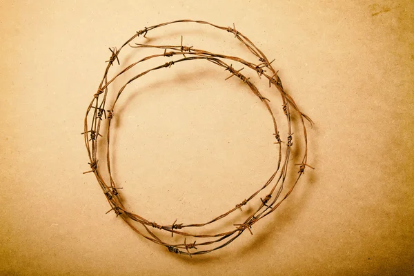 Taggtråd cirkelostnatý drát kruh — Stock fotografie