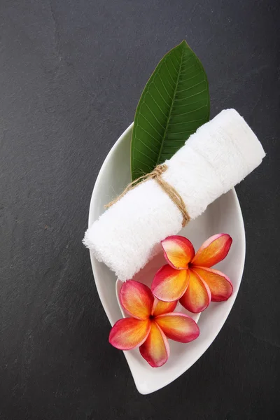 Frangipani çiçek spa sembolü — Stok fotoğraf