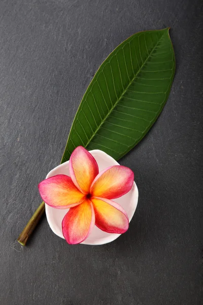 Símbolo de spa de flor Frangipani — Fotografia de Stock