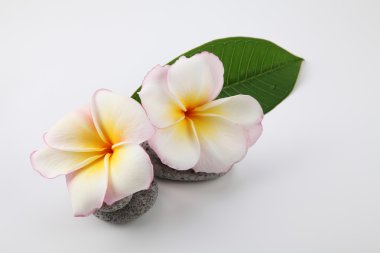 Spa ve sağlık konsepti 