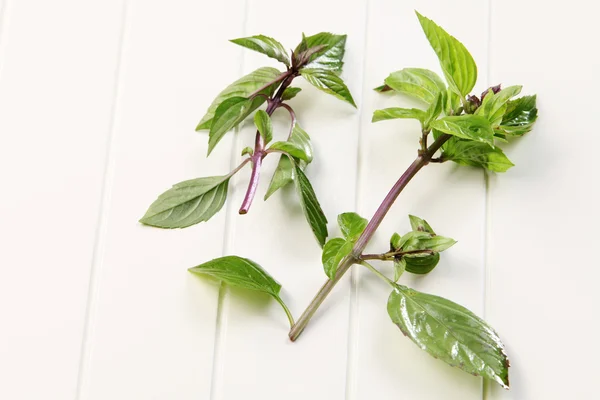 Hojas de albahaca tailandesa — Foto de Stock