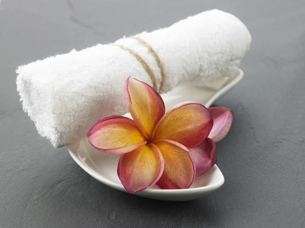 Frangipani flores símbolo de spa — Foto de Stock