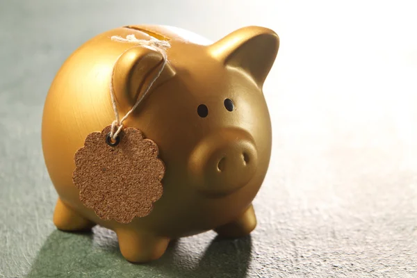 Piggy bank for savings — Stock Photo, Image