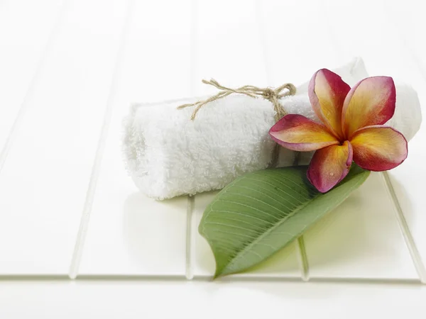 Frangipani çiçek spa sembolü — Stok fotoğraf